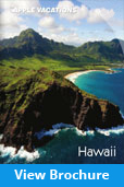 hawaii_brochure