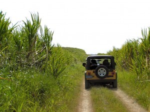 punta-cana-safari1-300x225